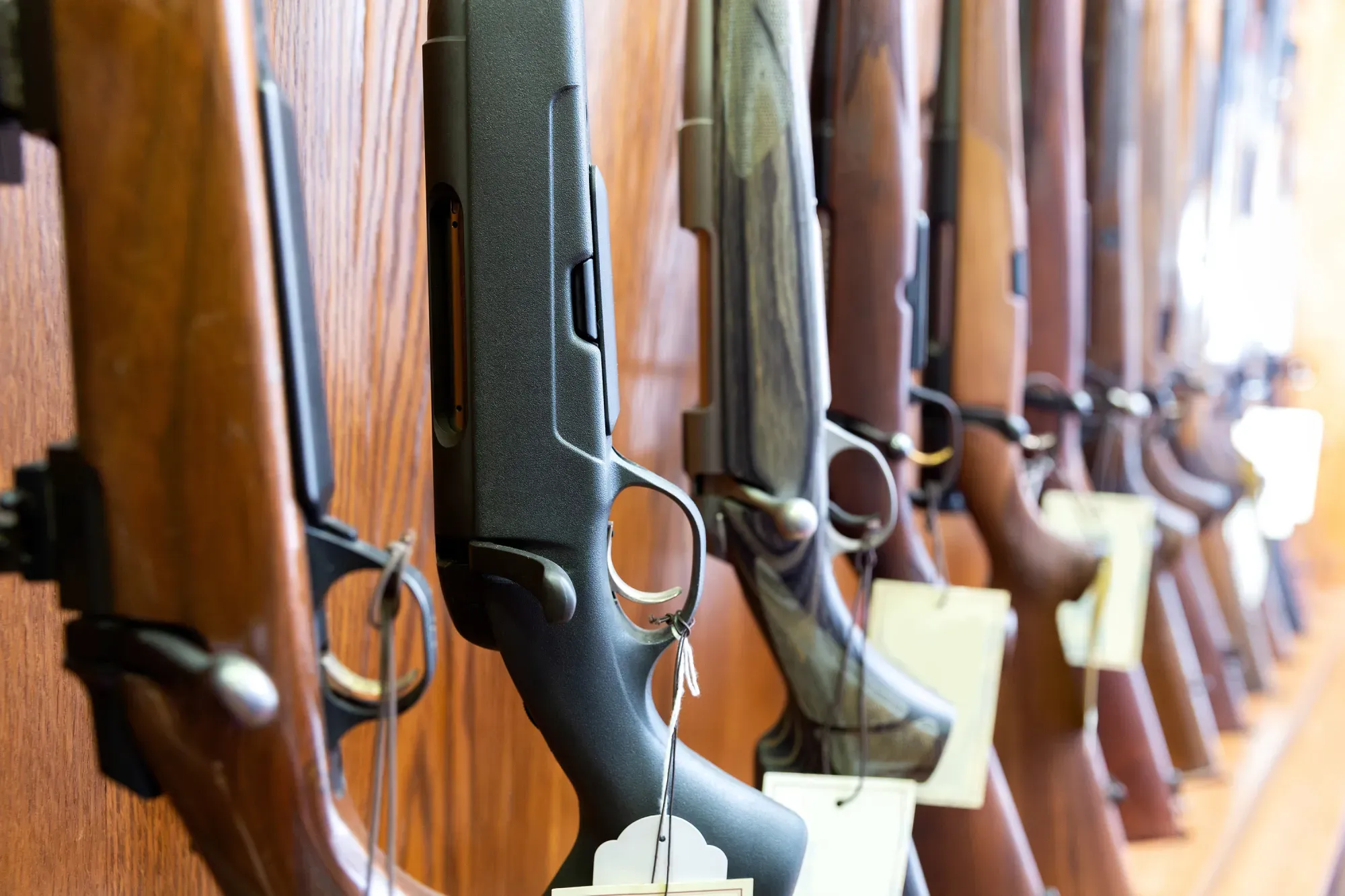 munitions-chasse